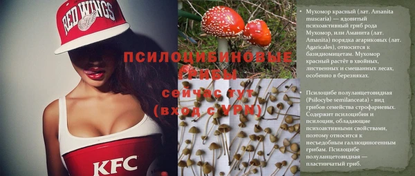 не бодяженный Алзамай