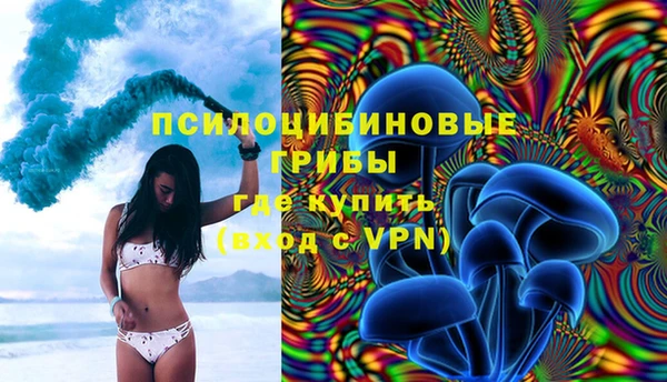 не бодяженный Алзамай