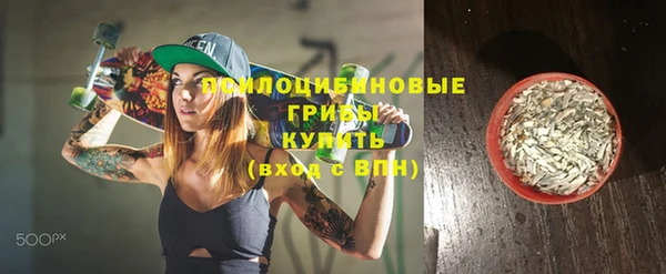 не бодяженный Алзамай