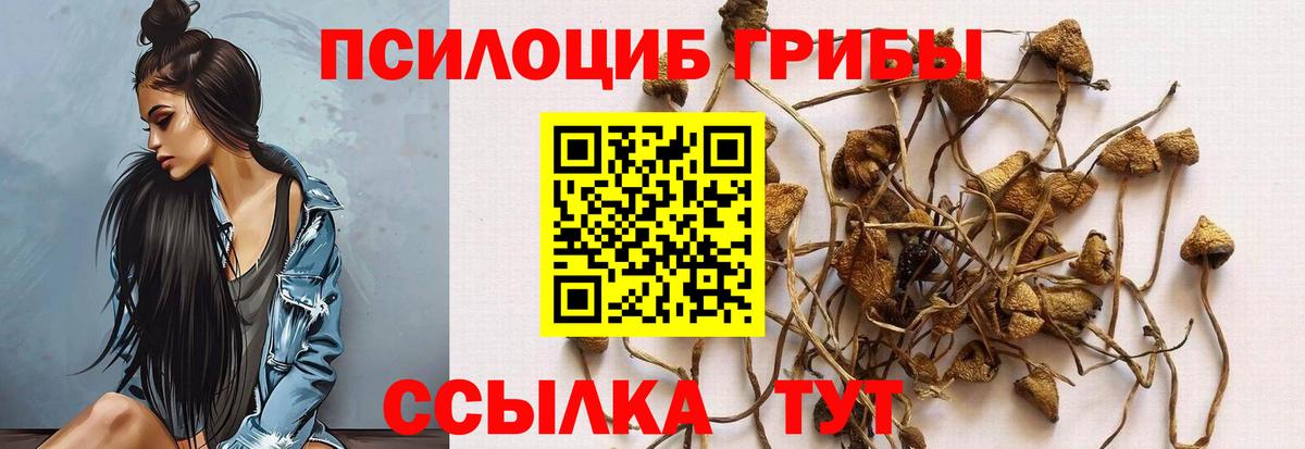 Псилоцибиновые грибы GOLDEN TEACHER  Вход с VPN  Рубцовск 